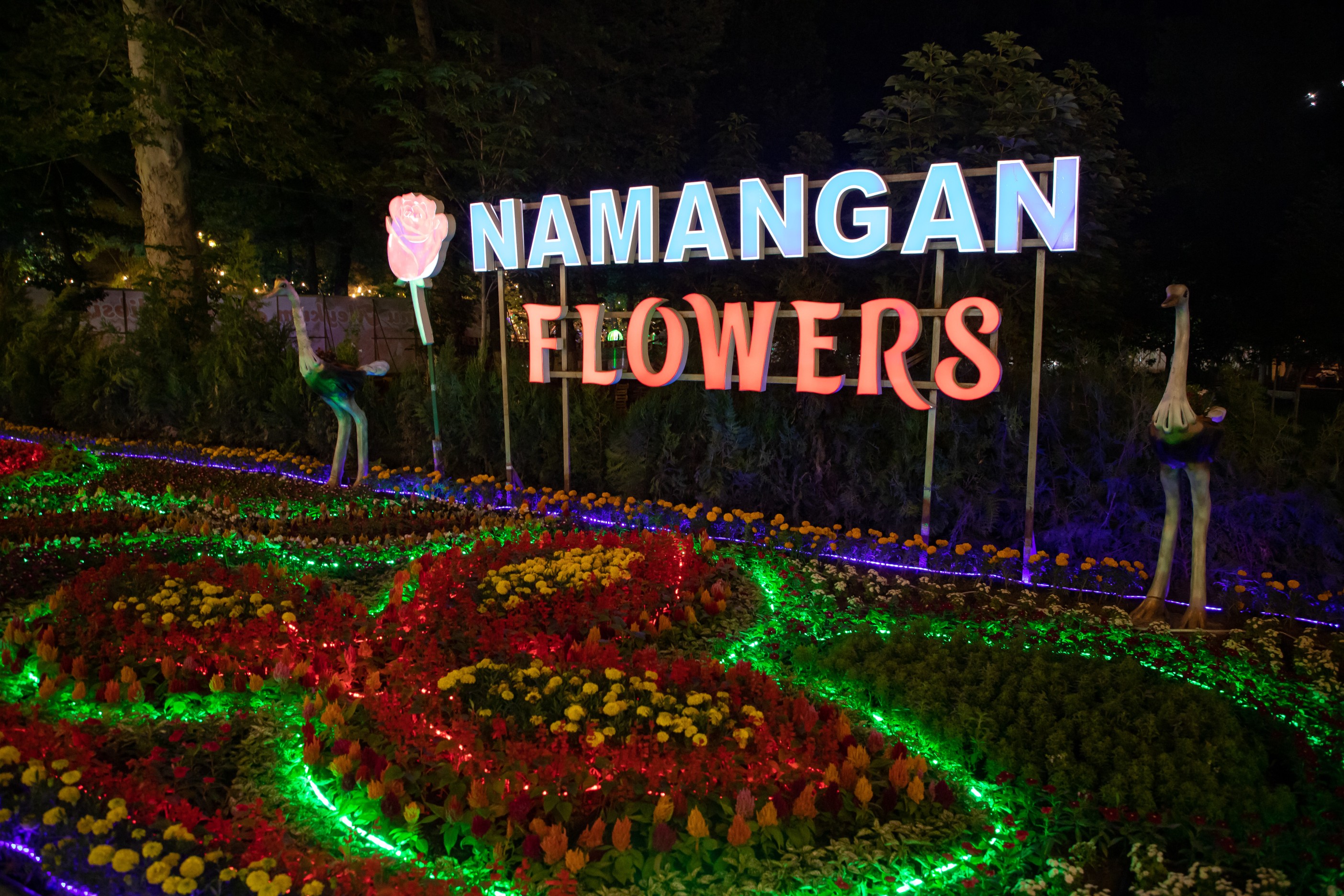 Namangan Flower Festival